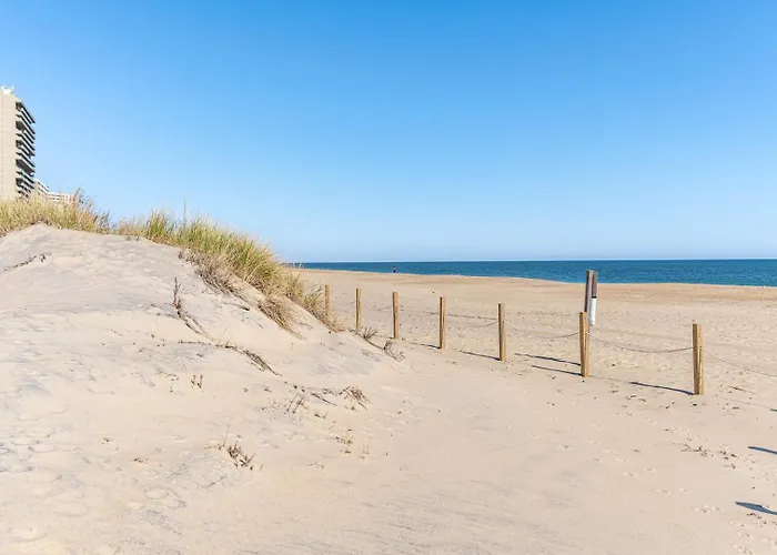 New Phoenix Atlantic Ocean City
